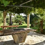Vinne Cirase Castiglione d'Otranto