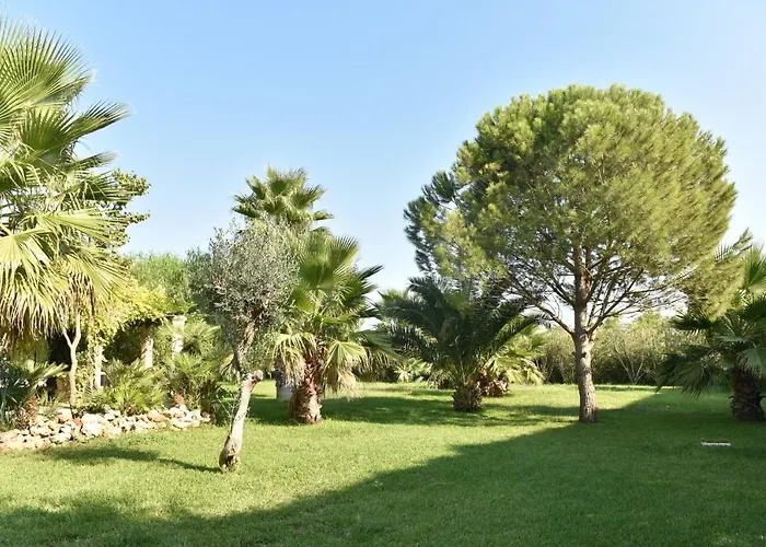 Villa Vinne Cirase *